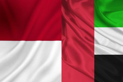 UAE INVESTMENT FOR EGYPT $7.2 BLN