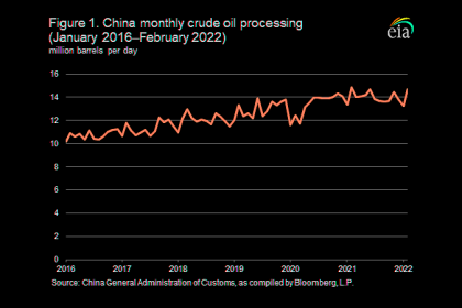 CHINA GAS CONSUMPTION GROWTH