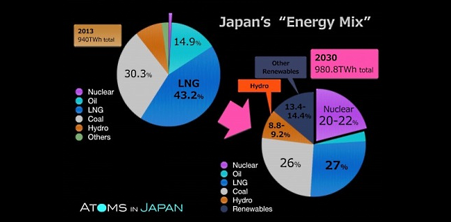 THE NEW JAPAN'S ENERGY PLAN