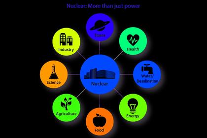 THE NEW NUCLEAR POWER