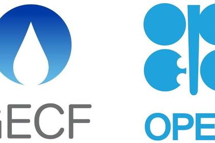 OPEC WITHOUT CHANGES