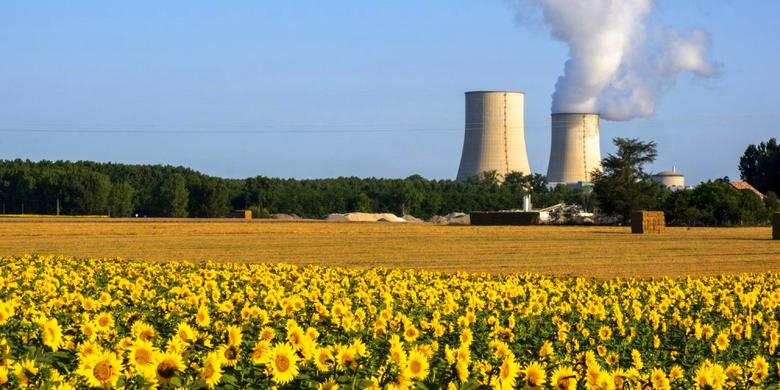THE RETURN OF NUCLEAR POWER