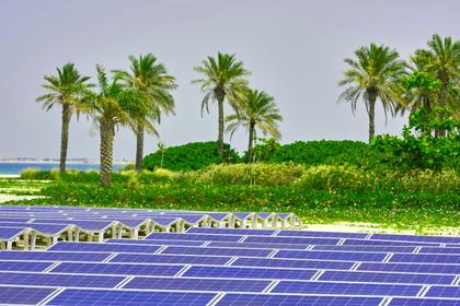 SAUDI ARABIA'S POWER PLANT $11.5 BLN