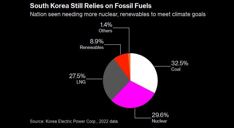 S.KOREA NEED NUCLEAR POWER