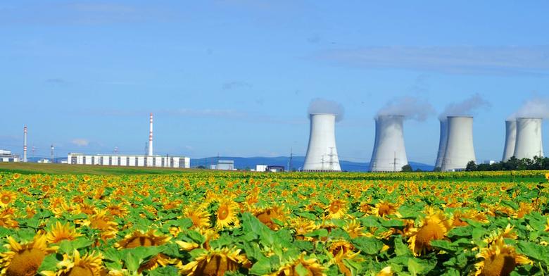 GLOBAL NUCLEAR ROLE