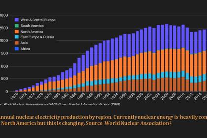 NUCLEAR DECARBONISATION