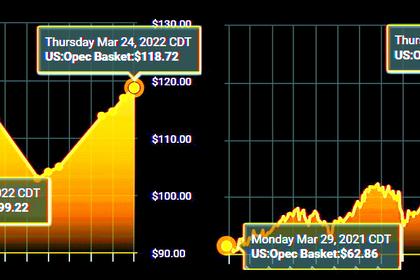 OPEC OIL PRICE: $113.39