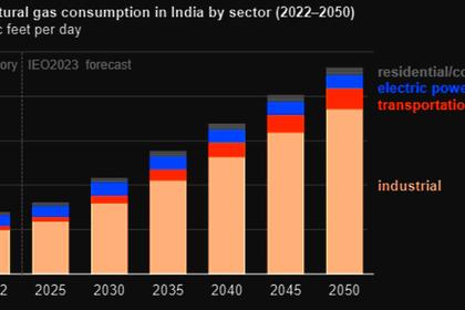 INDIA'S COAL POWER GROWTH