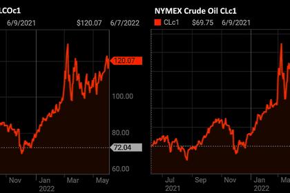 OPEC OIL PRICE: $123.21