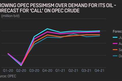 OPEC OIL REVENUES WILL DOWN