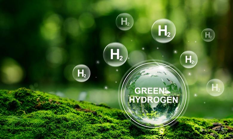 GREEN HYDROGEN FOR INDIA