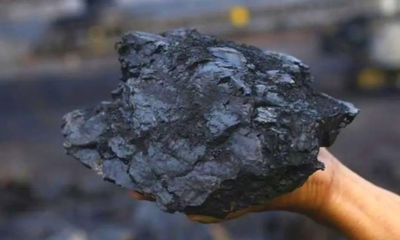 INDONESIAN COAL INVESTMENT $20 BLN