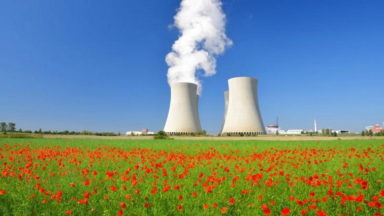 NUCLEAR CLIMATE PROTECTION
