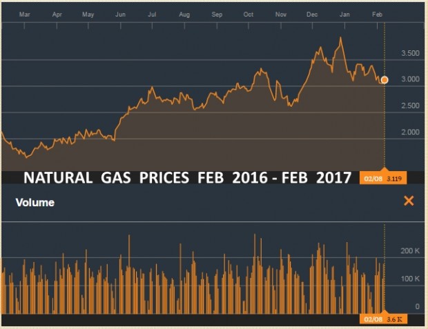 NATURAL GAS PRICES FEB 2016 - FEB 2017