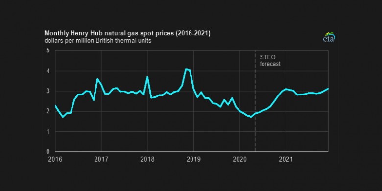 U.S. Henry Hub natural gas spot prices 2016-2021